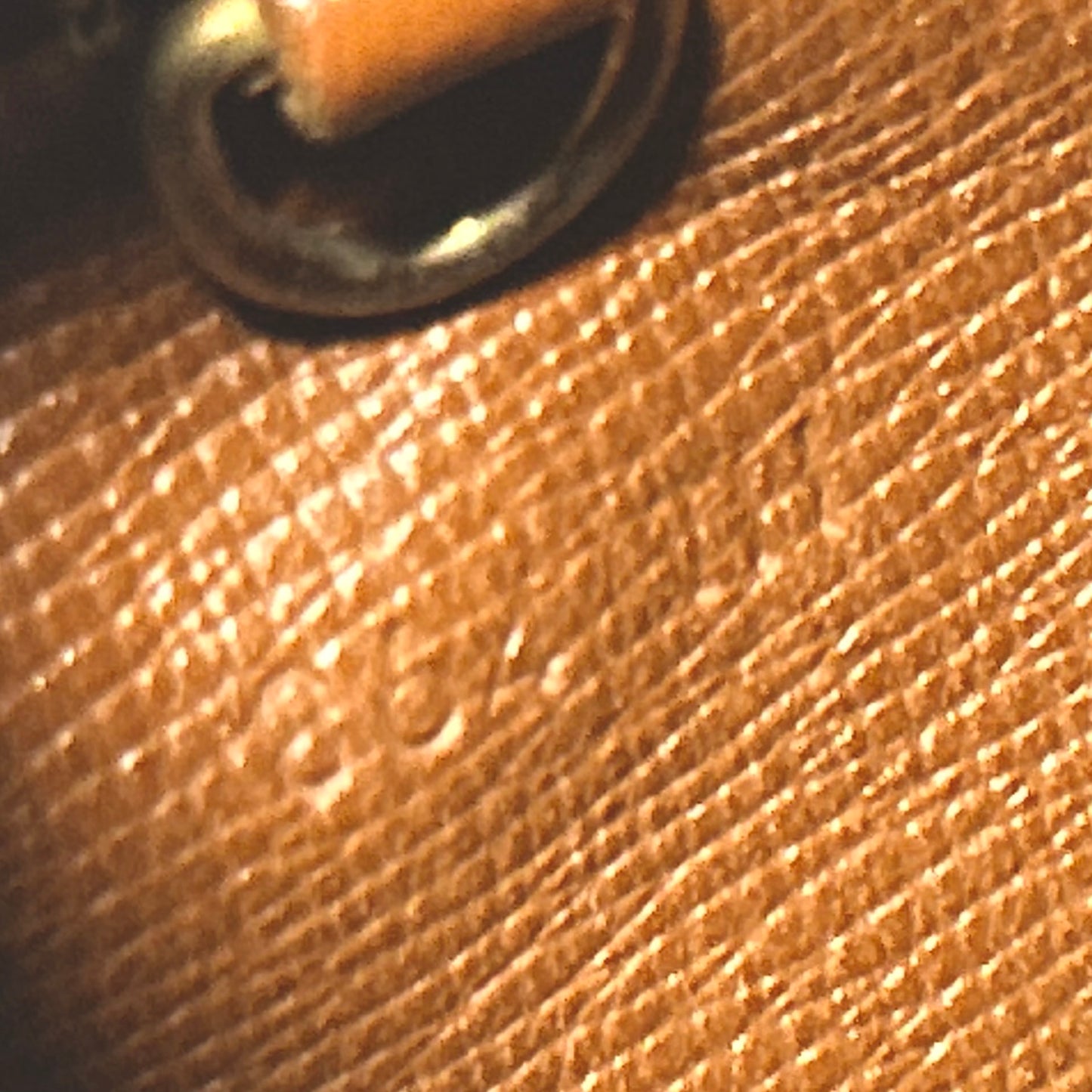 (1986) Louis Vuitton Papillon 30