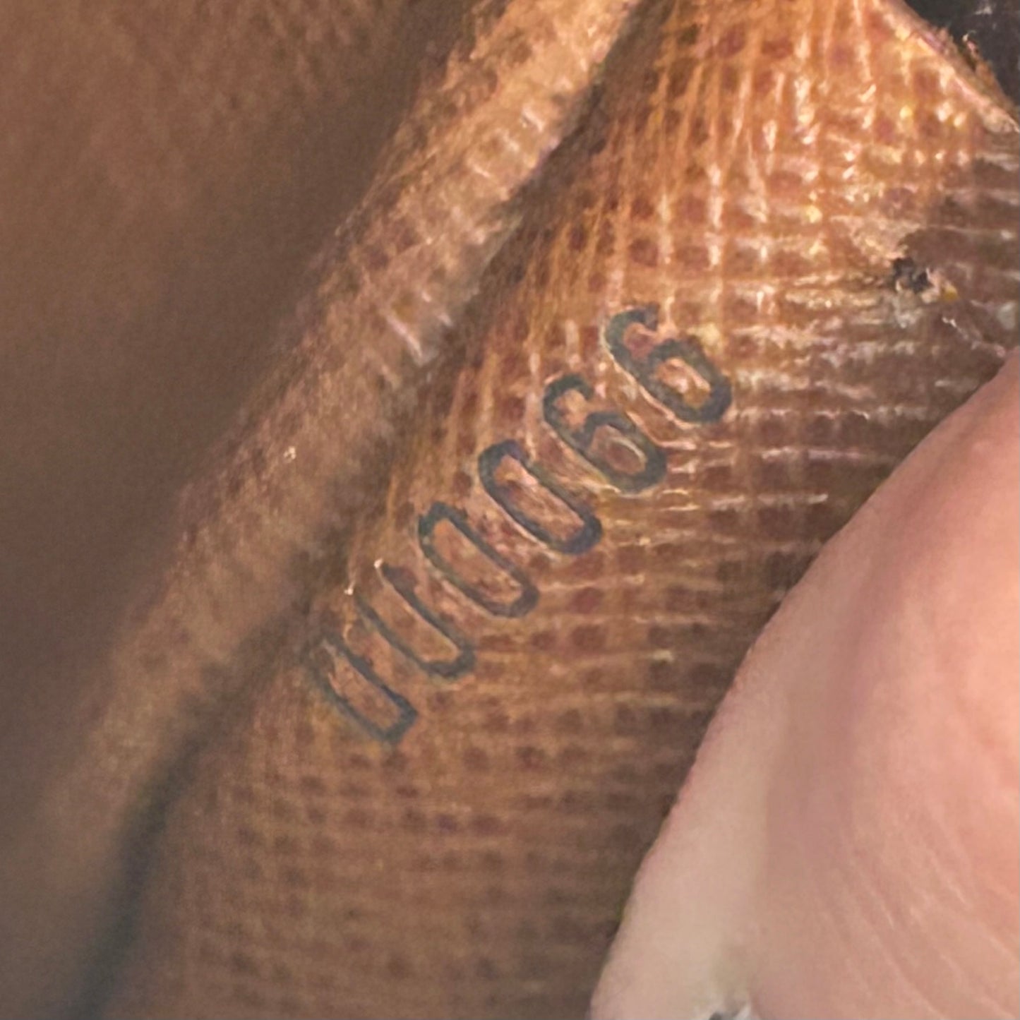 (2005) Louis Vuitton Papillon 26